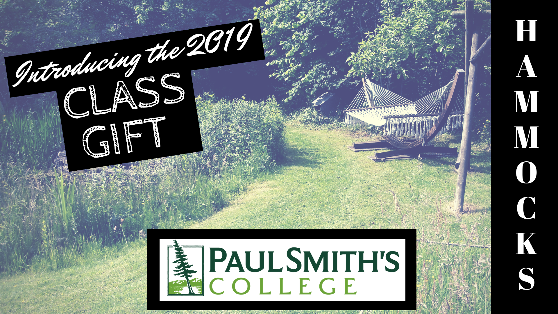 Hammocks - class gift 2019